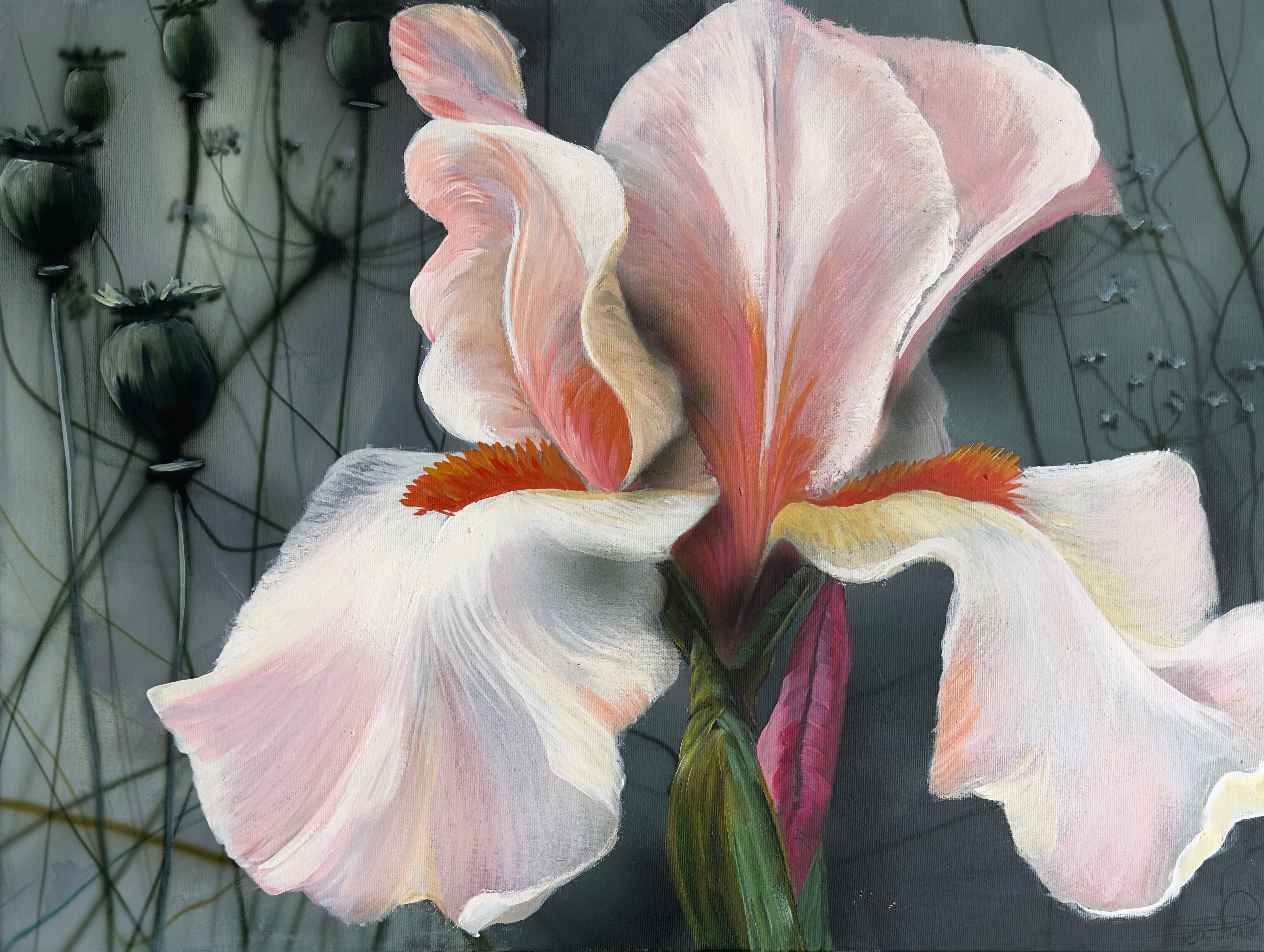 One pink Iris
60 x 80 cm.
7.500,-
Se det hos Naja Duarte