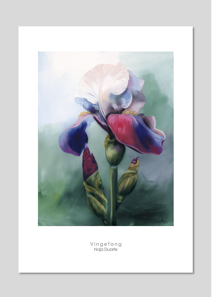 Vingefang
70 x 50 cm
599,00
(fragt kr. 64,00)