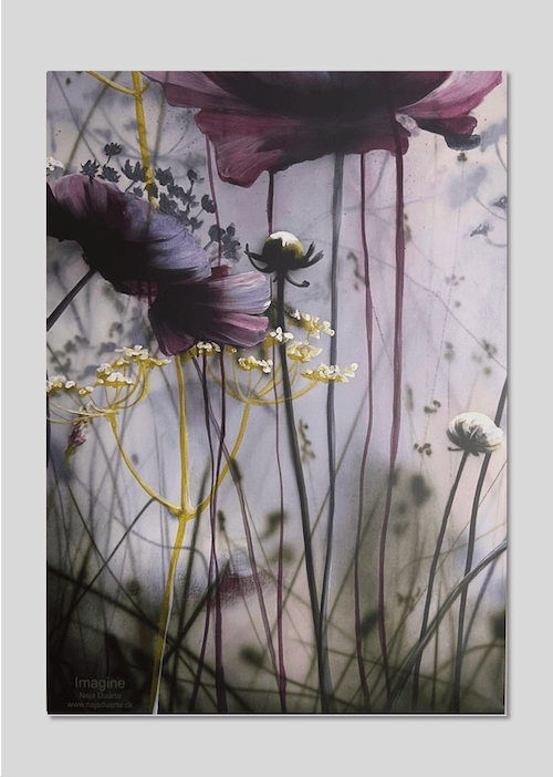 Imagine
70 x 50 cm
599,00
(fragt kr. 64,00)