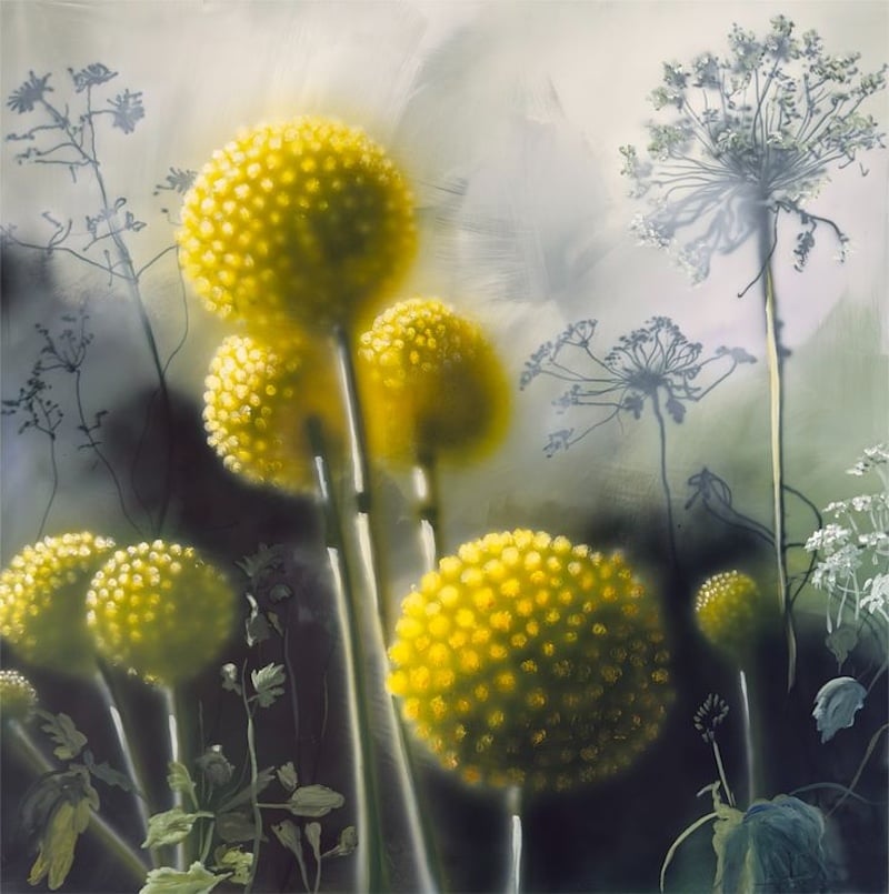 Solfangere
100 x 100 cm.
13.500,-

Se det hos Naja Duarte