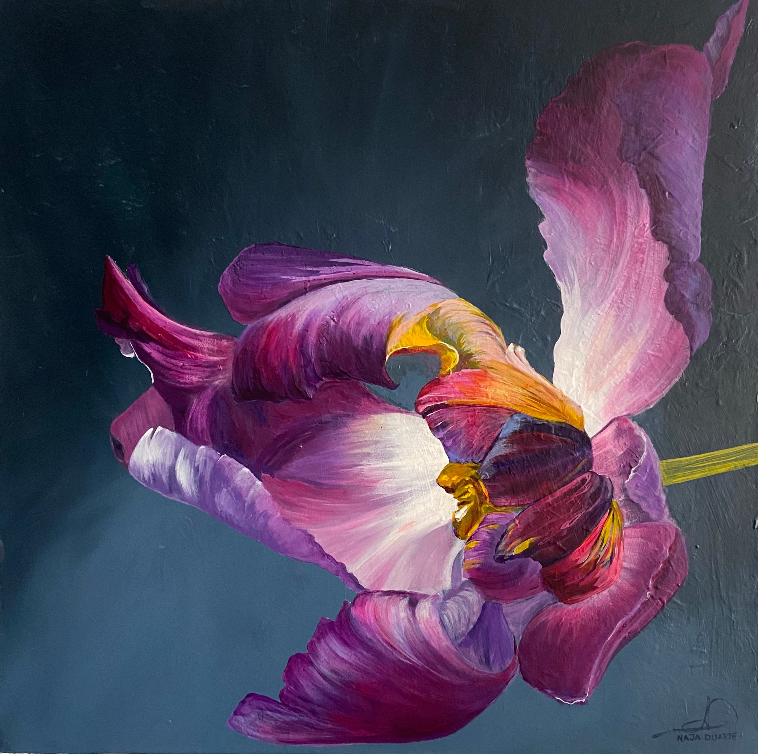 Tulipa negrita
80 x 80 cm
7.700,-
Se det hos Galleri Lars Falk